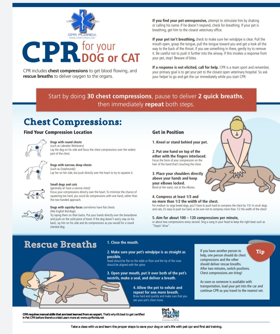 why would a dog need cpr