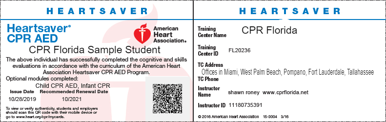 cpr florida heartsaver american heart card