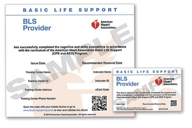 American Heart Association Healthcare Provider bls cpr aha certification  classes