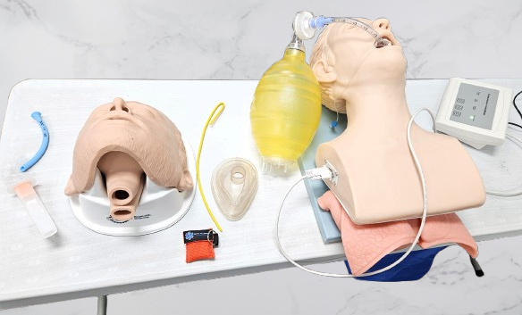 acls and pals intubation and nasal airway manikin