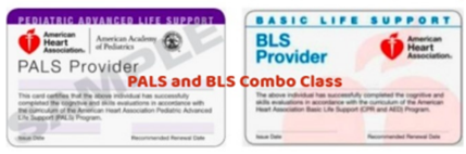 BLS and PALS Combo Certification
