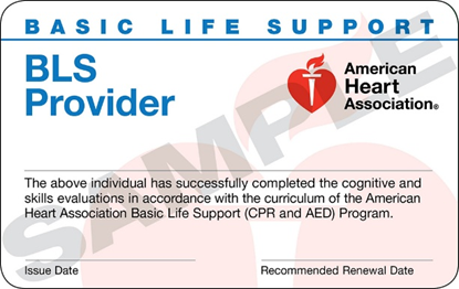 BLS Provider Certification
