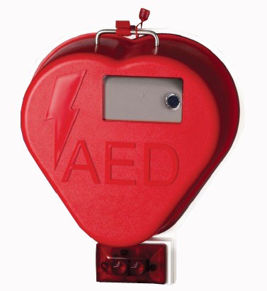 Outdoor Alarmed AED Cabinet