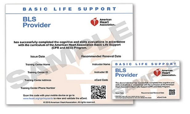 Americanheartblsecardcprflorida Cartifi 1