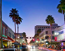 Clematiswestpalmbeach 2