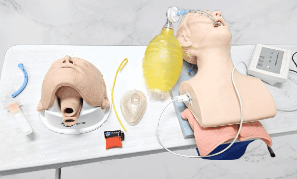 acls and pals intubation manikins