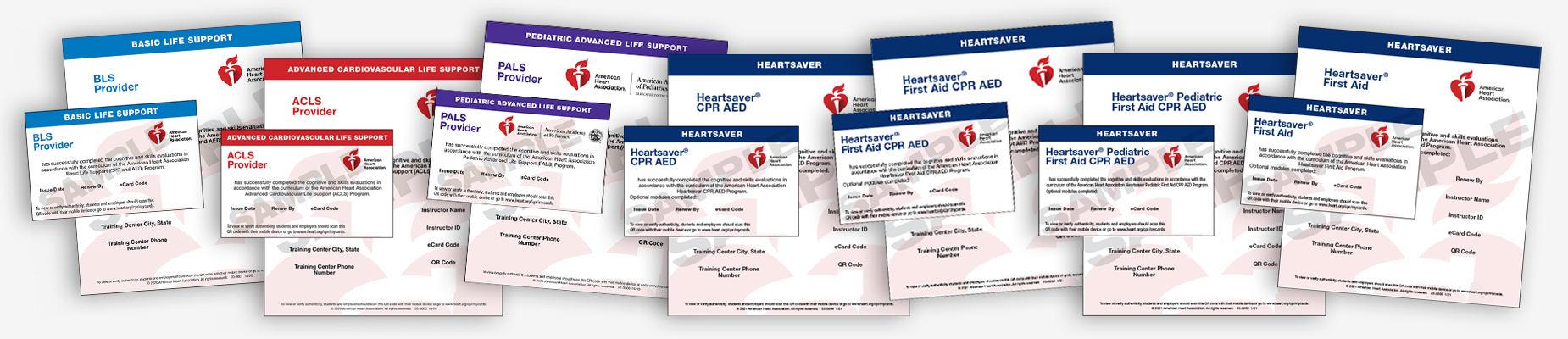 list of all cpr florida classes
