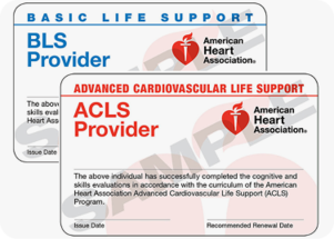 aha bls and acls combo certification class