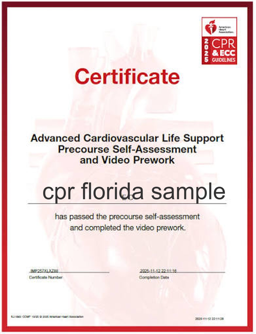 what does the aha acls pretest look like